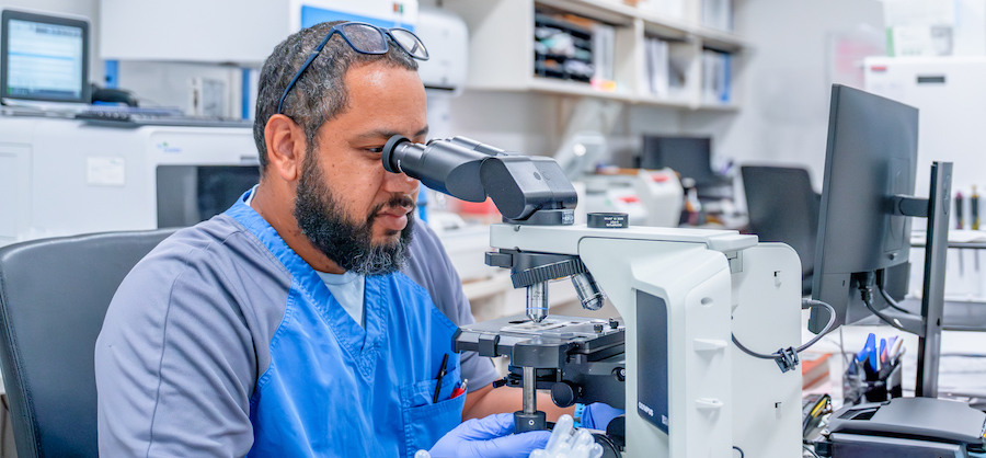 A lab technician looking through a microscope